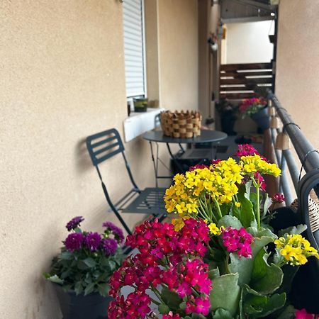 Appartement De Charme 80M2 지보르 외부 사진